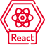 icon-react-development