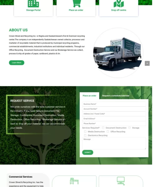 expert website designer developer